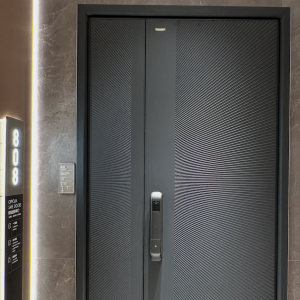 Metal Door